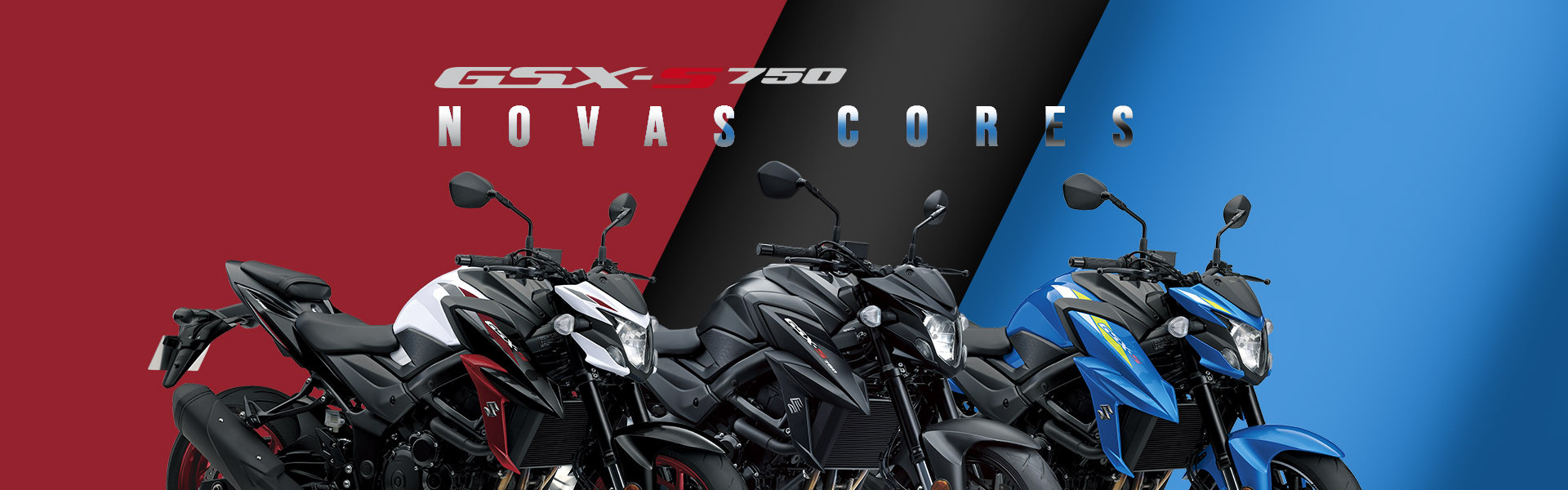 dermotos suzuki