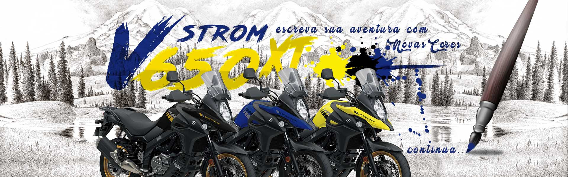 dermotos suzuki